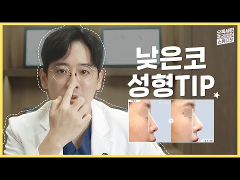 [🧐코가 안보인대요] 오똑세련 코를 위한 낮은코성형 팁 | 프리미어 Studio