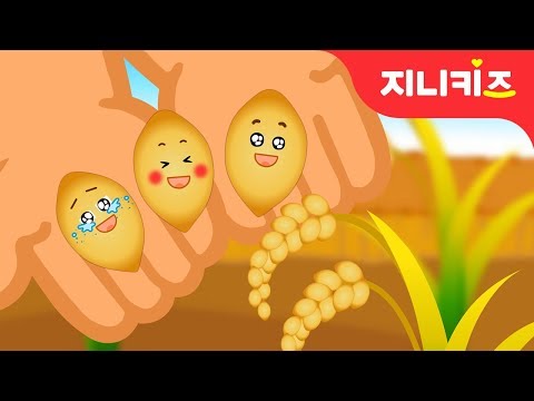 세 쌍둥이 낟알의 모험 | 가을동화 | 음식동화 | 창의동화★지니키즈