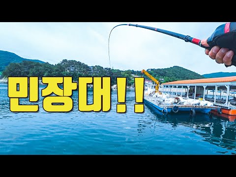 [다리tv] 무조건 손맛!!! 민장대 낚시!!! 남해 캠낚방파제!!!