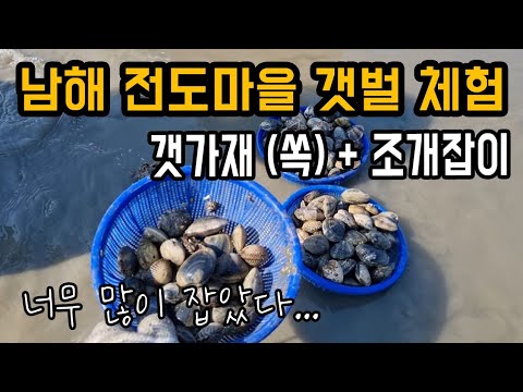 남해 갯벌체험 | 갯가재+조개잡이 | 전도마을 갯벌체험장