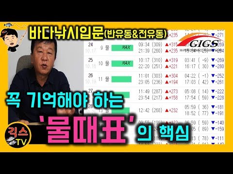 [바다낚시 입문 #14] 꼭 기억해야 하는 물때표 보는법 [긱스TV]