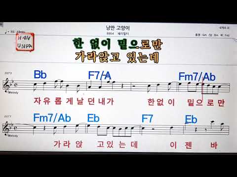 낭만 고양이/체리필터💋노래방, 가라오케, 코드 큰 악보,반주,가사💖Karaoke, Sheet Music, Chord, MR