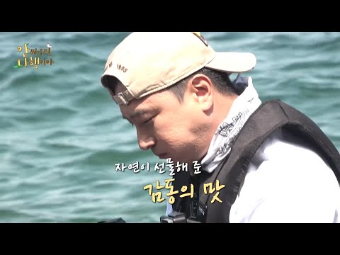 [안싸우면 다행이야 선공개] 납도 이장 안정환! 납도 대표 해산물 멍게 사냥 성공🎉, MBC 210913 방송