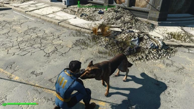 Pet - Call - Feed Dogmeat At Fallout 4 Nexus - Mods And Community