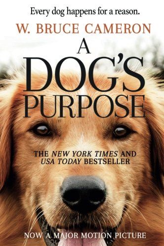 16 Best Books For Dog Lovers