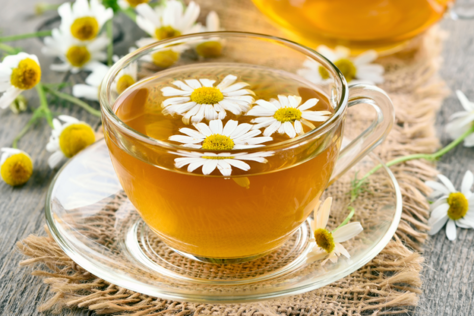 Chamomile For Dogs: Benefits And Uses – Barnaby & Jones