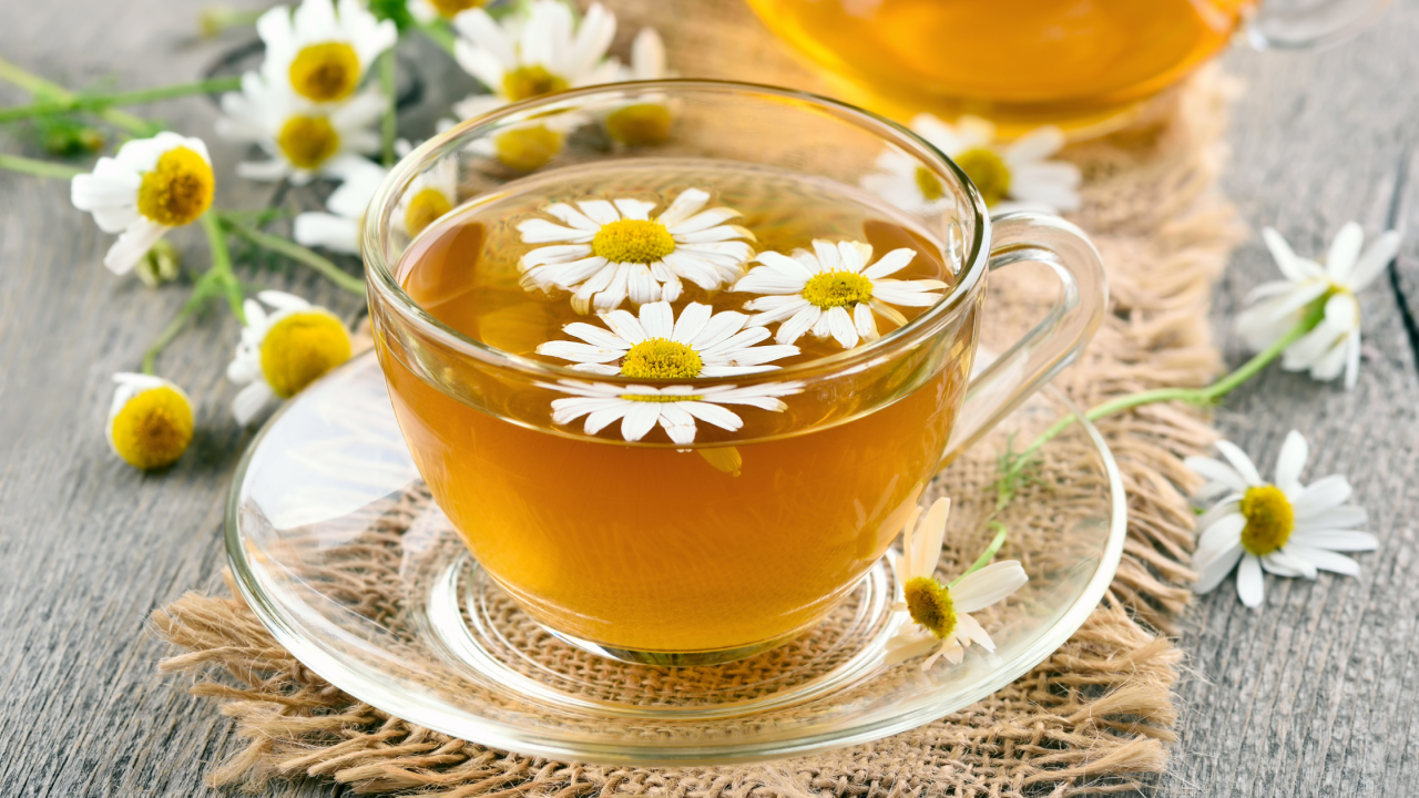 Chamomile For Dogs: Benefits And Uses – Barnaby & Jones