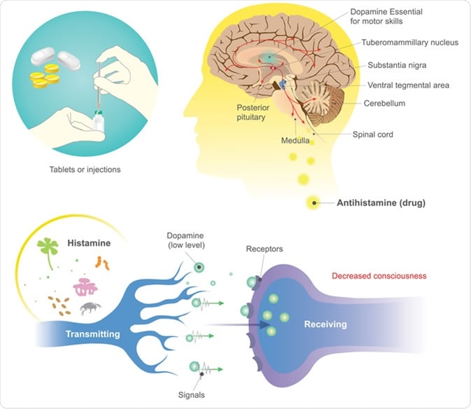 Antihistamine Side Effects: When To Stop Taking Allergy Medication