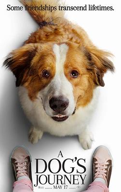 A Dog'S Journey (Film) - Wikipedia