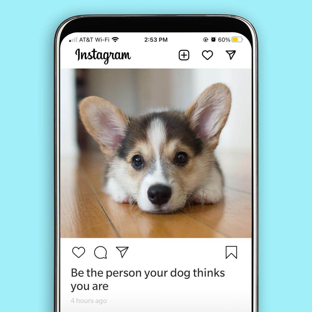 45 Best Dog Instagram Captions | Reader'S Digest