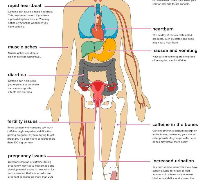 The Effects Of Caffeine On Your Body