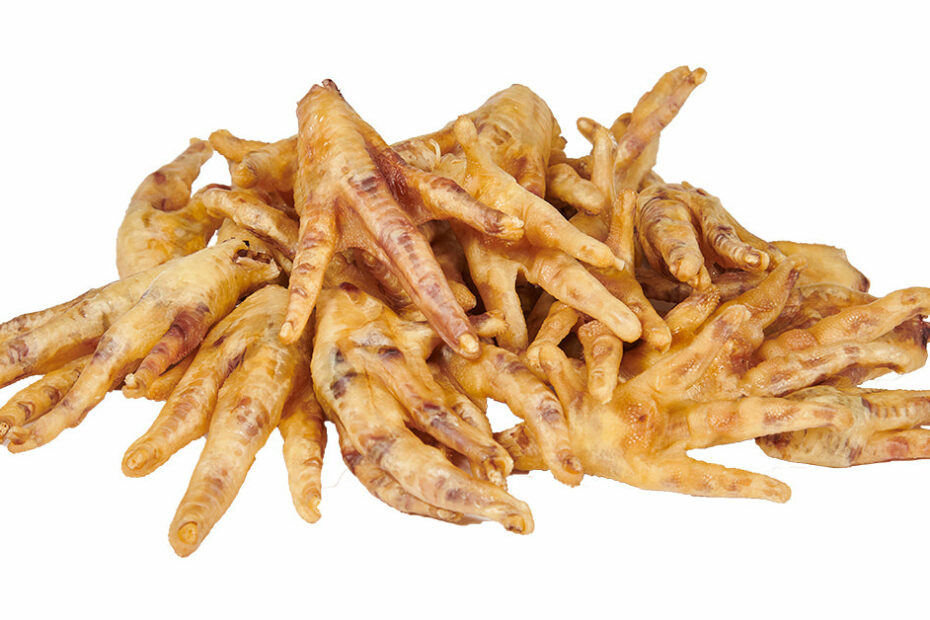 Can Dogs Eat Chicken Feet? | Health Benefits & What To Avoid