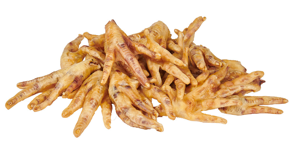 Can Dogs Eat Chicken Feet? | Health Benefits & What To Avoid