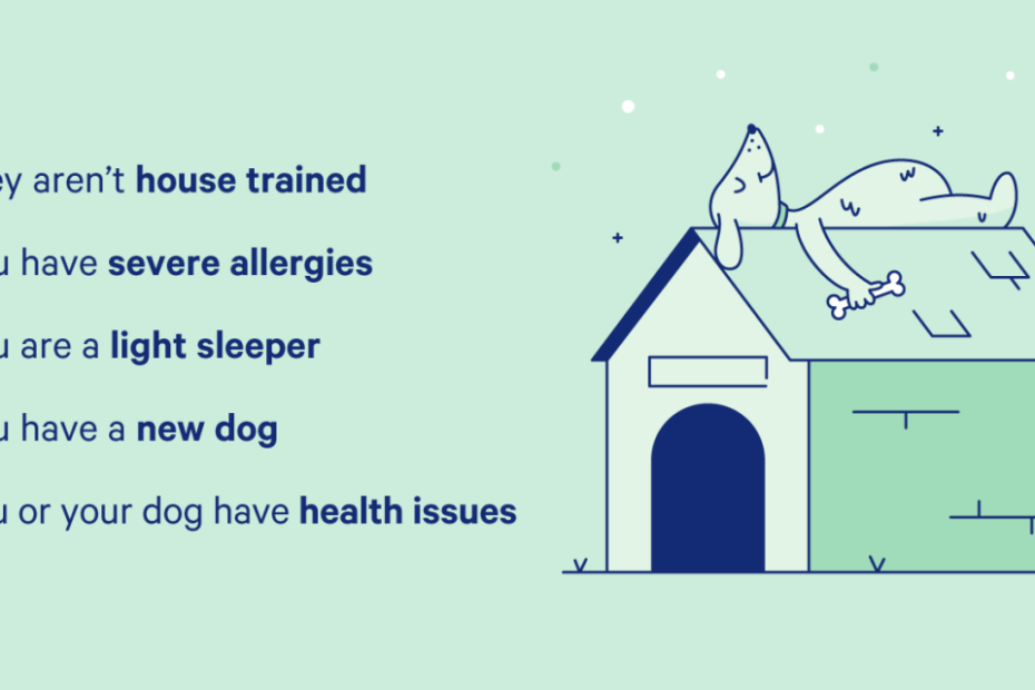 Sleeping With Your Dog: 13 Science Backed Tips | Casper Blog