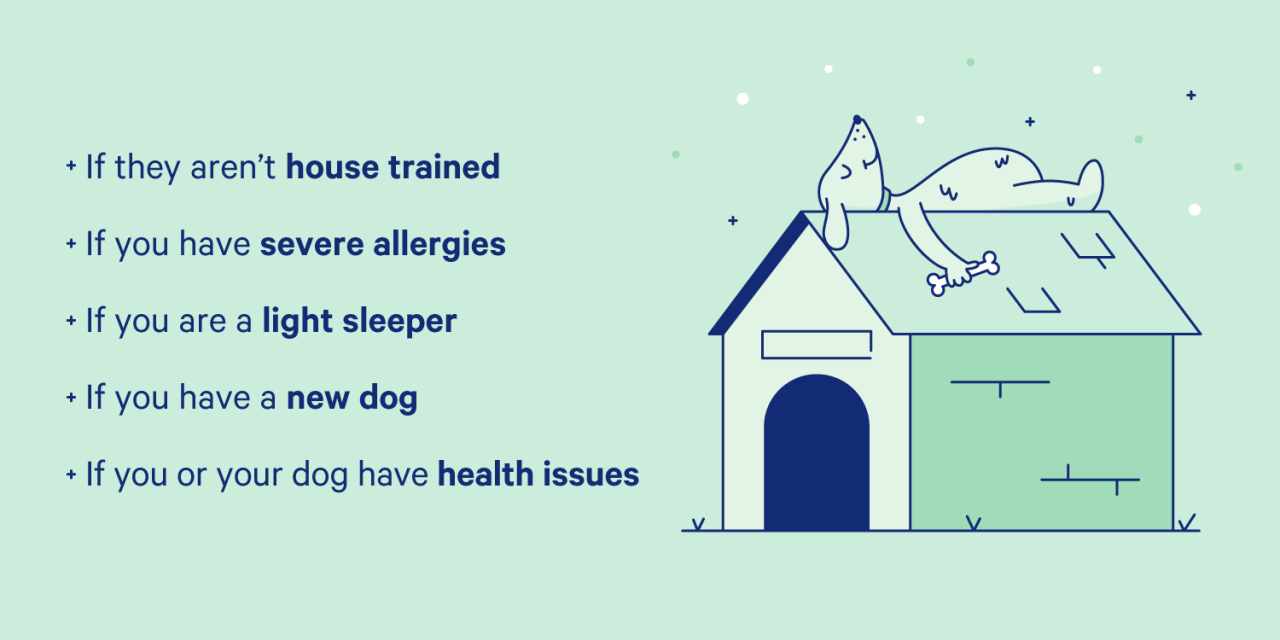 Sleeping With Your Dog: 13 Science Backed Tips | Casper Blog