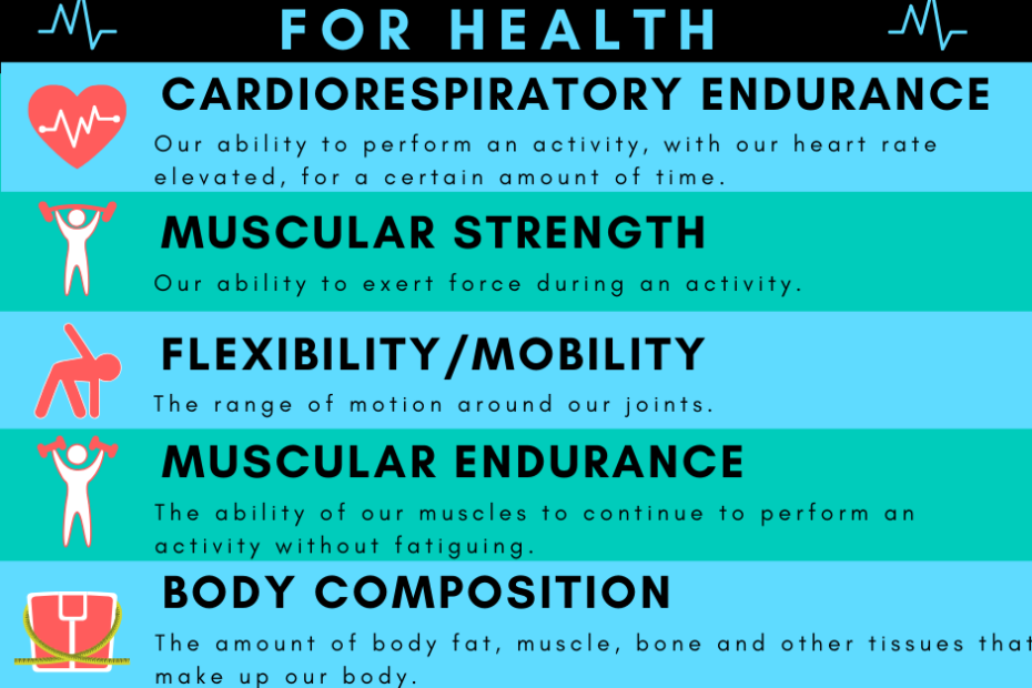 Components Of Fitness For Seniors – Health — More Life Health - Seniors  Health & Fitness