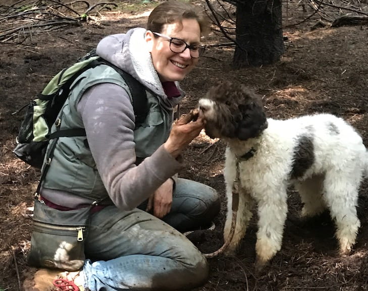 Truffle Hunting Dogs: Tracking Underground Treasure Using Trained Dogs