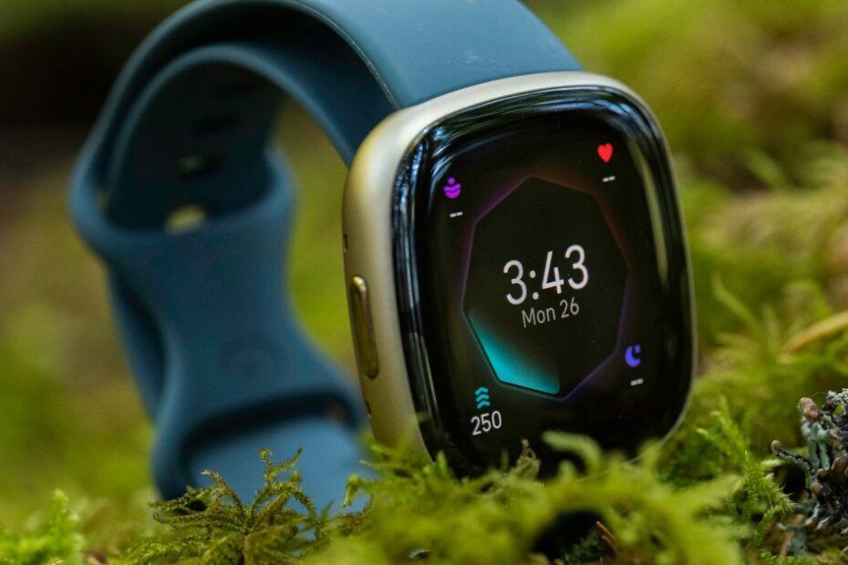 Fitbit Sense 2 Review: A Smart Way To Focus On Fitness | Digital Trends