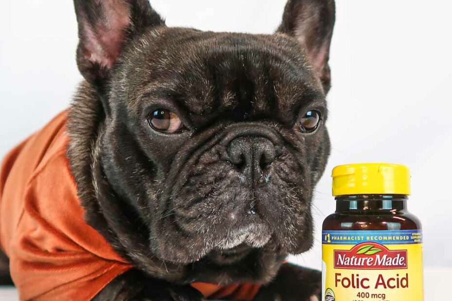 Folate May Be Needed For Your Dog