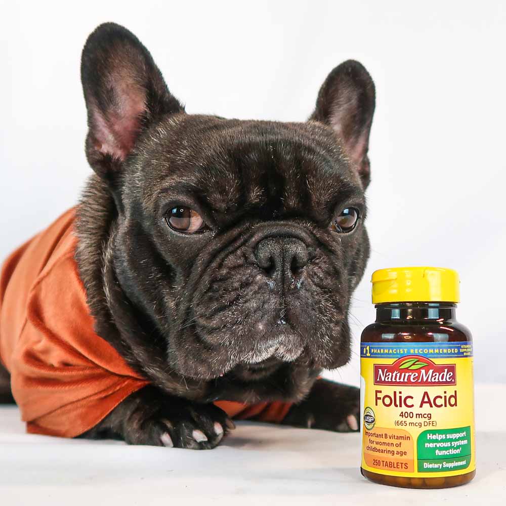 Folate May Be Needed For Your Dog