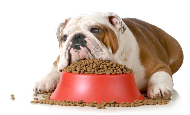 How Does Your Dog Food Rate: Pedigree Dog Food (Dry)