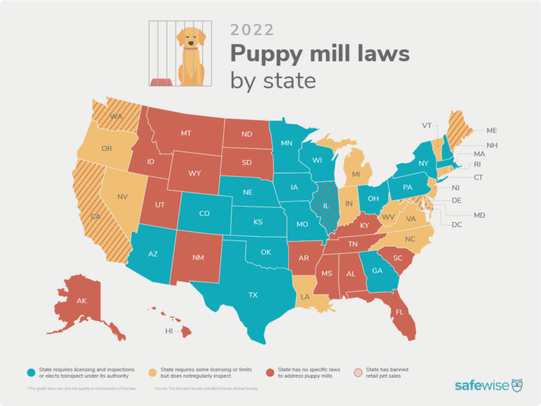 The Most (And Least) Pet-Friendly States In America | Safewise