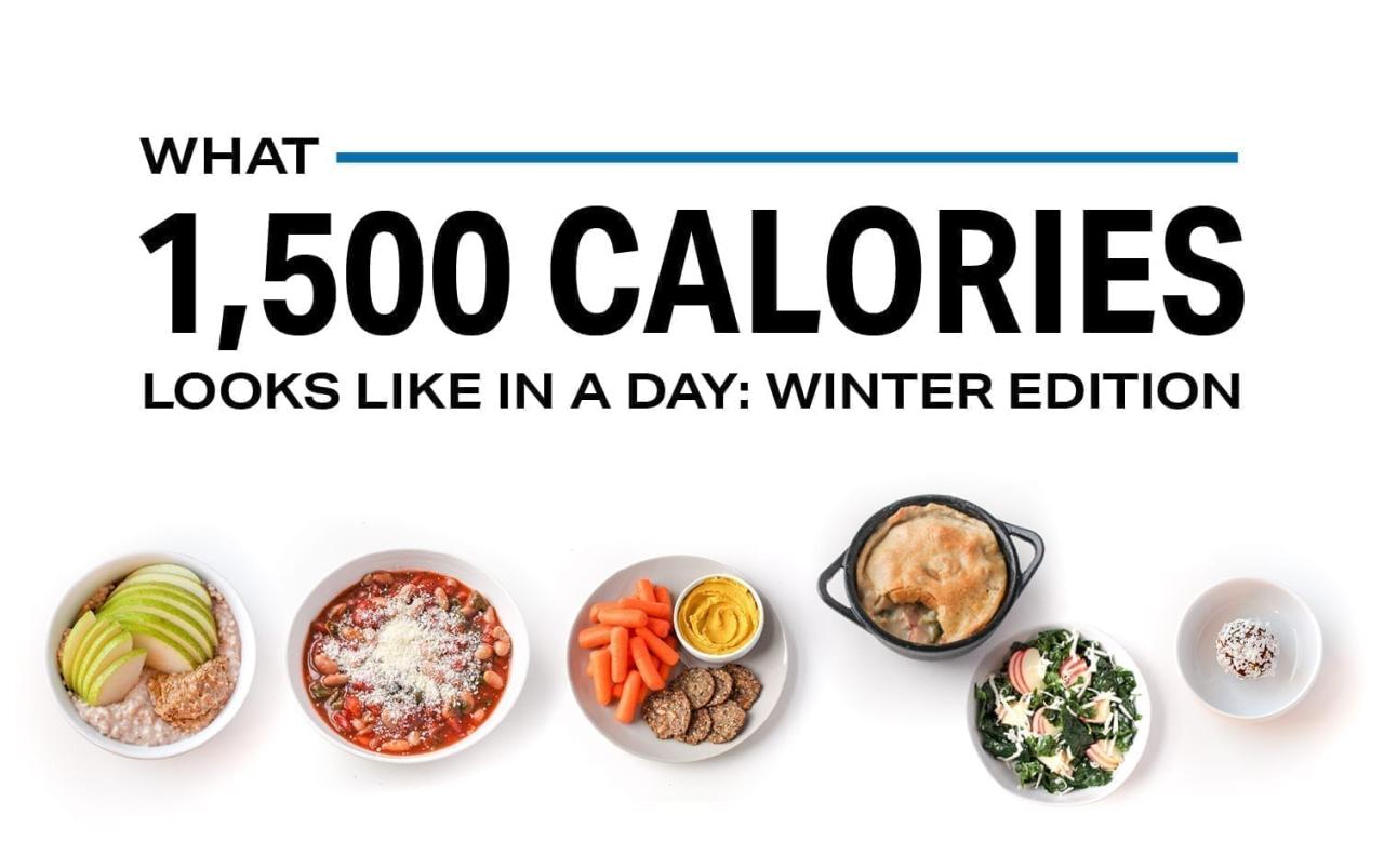 What 1,500 Calories A Day Looks Like [Winter Edition] | Nutrition |  Myfitnesspal