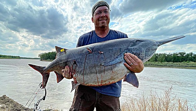 Huge World Record Paddlefish Caught In Montana With Bow And Arrow