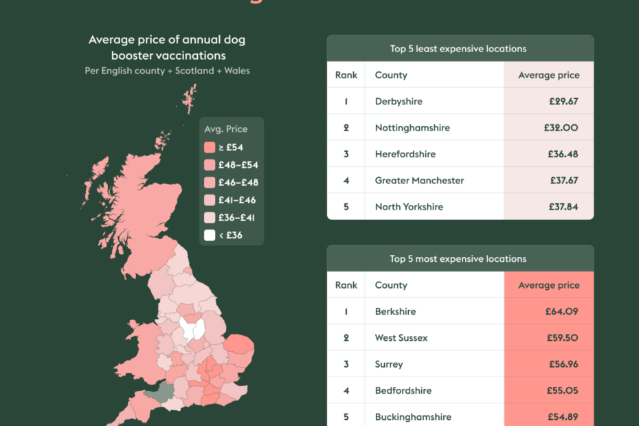 How Much Does It Cost To Vaccinate Dogs And Cats In The Uk? | Manypets