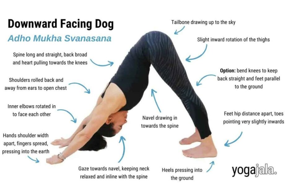 Downward Facing Dog Pose (Adho Mukha Svanasana)