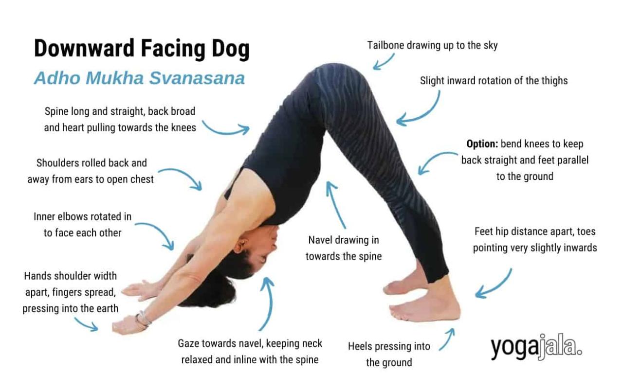 Downward Facing Dog Pose (Adho Mukha Svanasana)