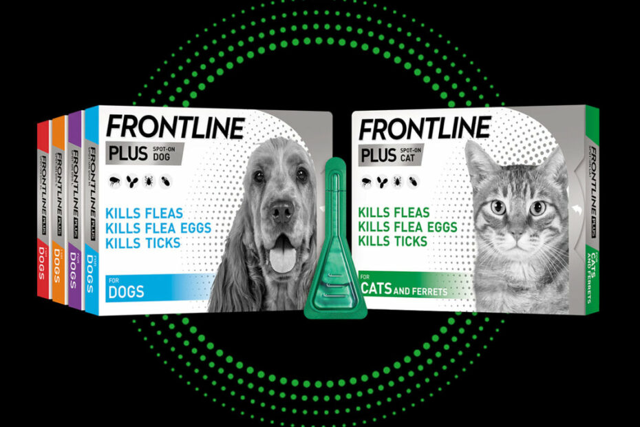 Frontline For Dogs & Cats | Flea, Tick Treatment | Lloydspharmacy