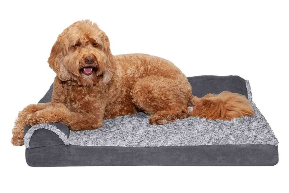 The 11 Best Orthopedic Dog Beds Of 2023, Tested And Reviewed