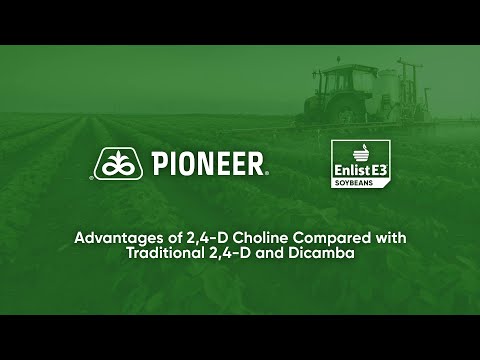 Advantages of 2,4-D Choline Compared with Traditional 2,4-D and Dicamba