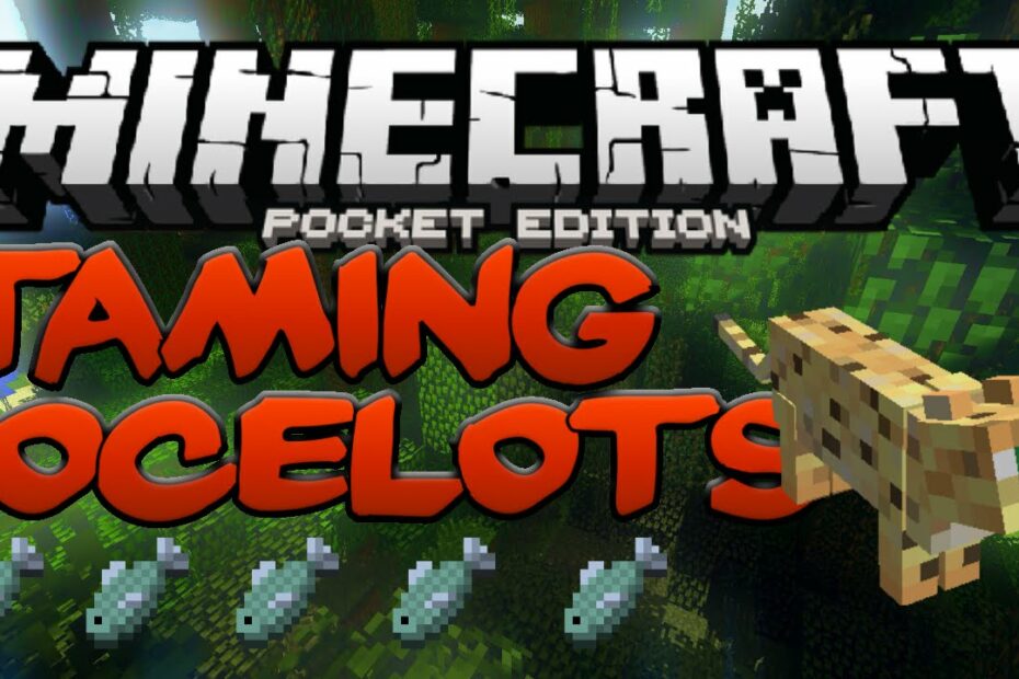 How To Tame Ocelots In Minecraft Pe - Mcpe Taming Cats (Pocket Edition) -  Youtube