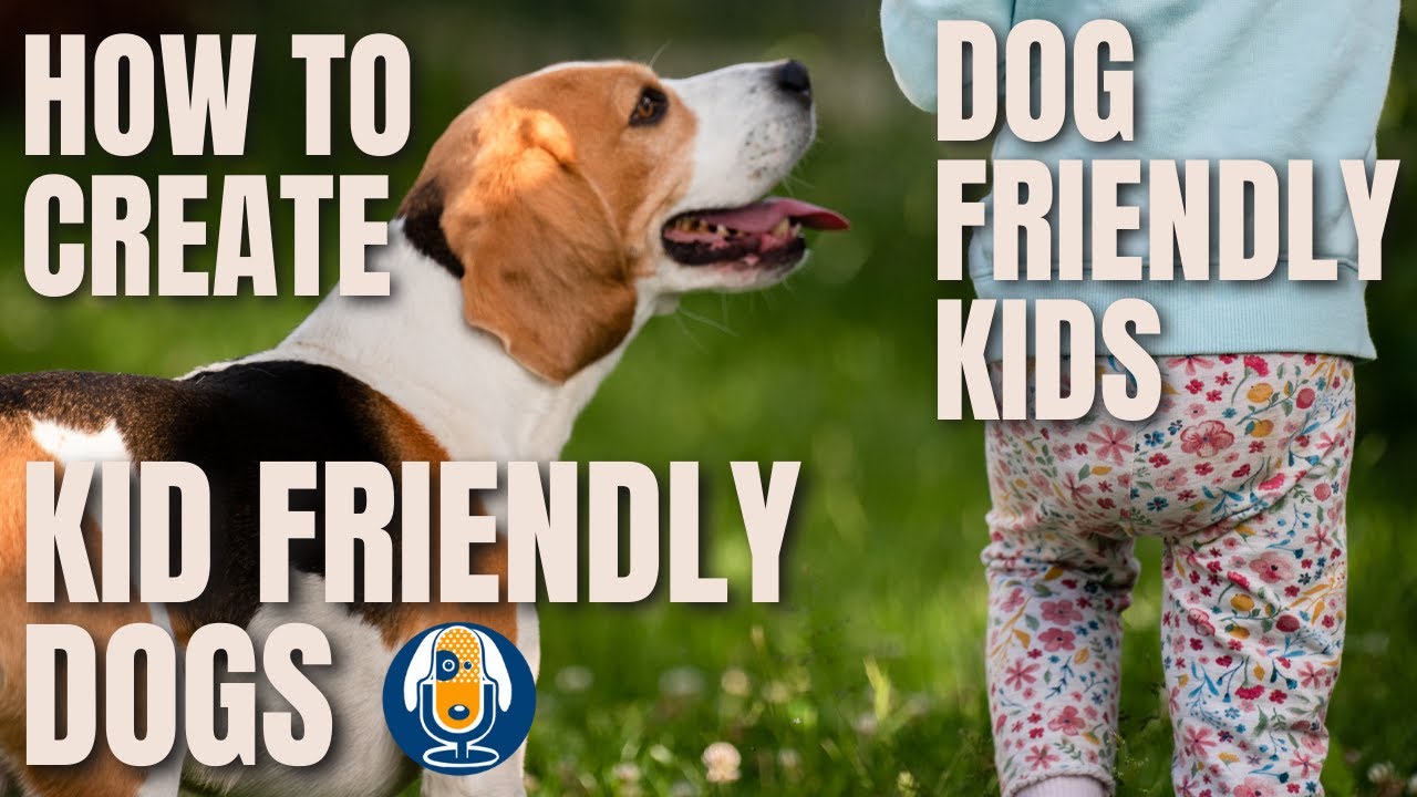 How To Create Kid Friendly Dogs And Dog Friendly Kids #58 - Youtube