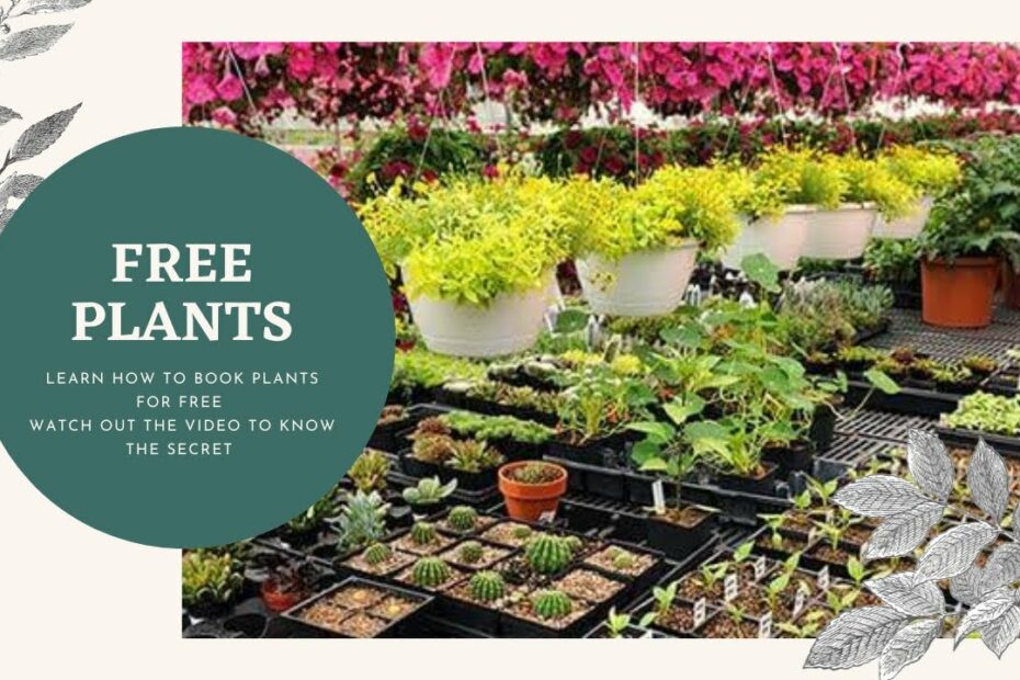 How To Get Free Plants From Government Nursery 🪴 || #Freeplants  #Growmoreplants - Youtube