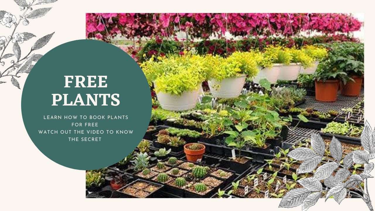 How To Get Free Plants From Government Nursery 🪴 || #Freeplants  #Growmoreplants - Youtube