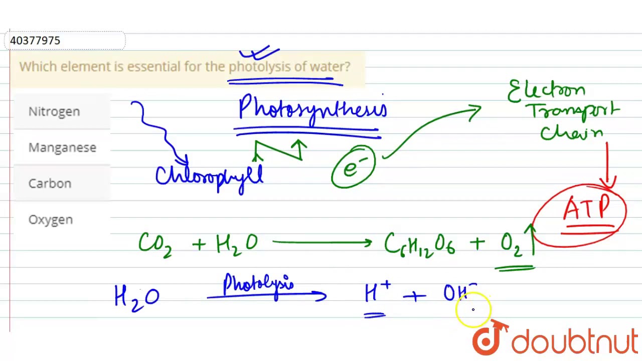 Which Element Is Essential For The Photolysis Of Water? - Youtube