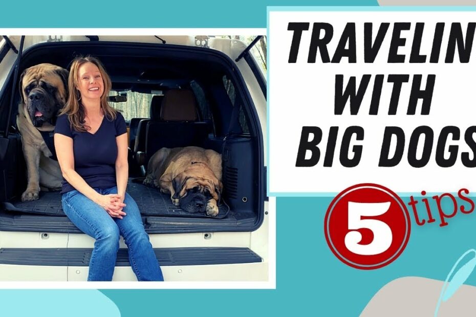 Traveling With Dogs Made Easy: 5 Tips For Road Trip Success [Large Dogs]