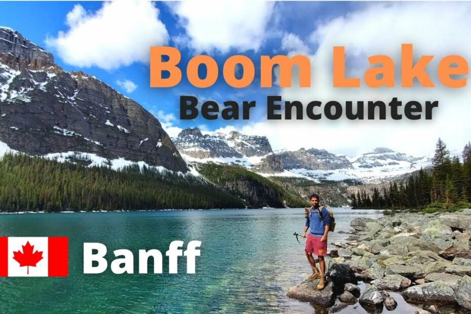 Hiking In Banff National Park | Boom Lake Trail | Bear Encounter | Alberta  - Canada | Blue Lake Hike - Youtube