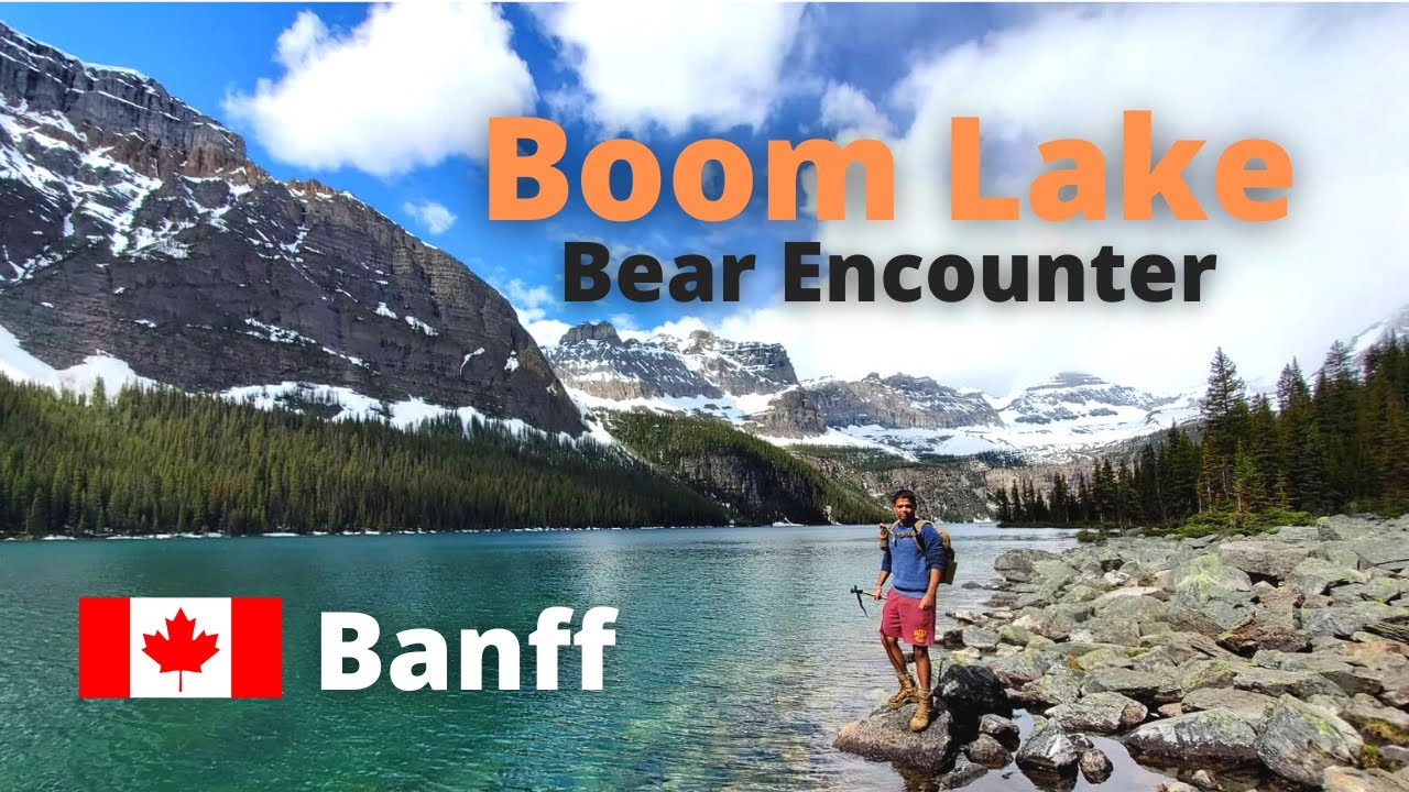 Hiking In Banff National Park | Boom Lake Trail | Bear Encounter | Alberta  - Canada | Blue Lake Hike - Youtube