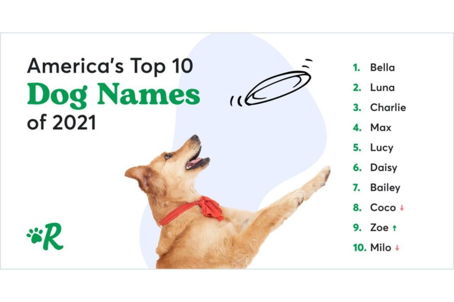 The Most Popular Pet Names Of 2021