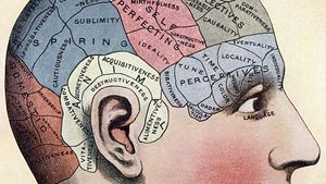 Phrenology | History, Theory, & Pseudoscience | Britannica