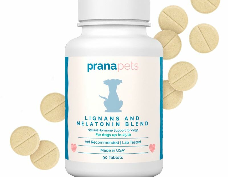 Melatonin And Lignans For Dogs With Cushing'S - Prana Pets