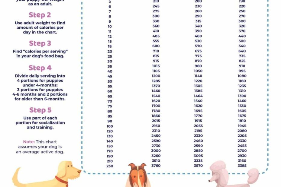 How Much Should I Feed My Dog? Calculator And Feeding Guidelines