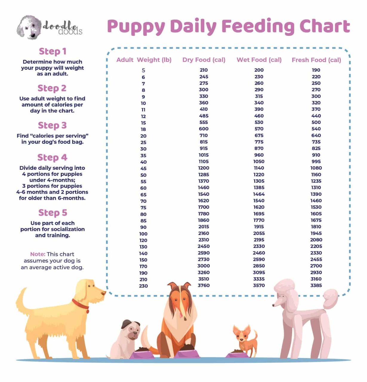 How Much Should I Feed My Dog? Calculator And Feeding Guidelines