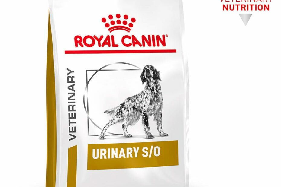 Prescription Vet Diet Dog Food In Au | Petpost | Petpost Australia