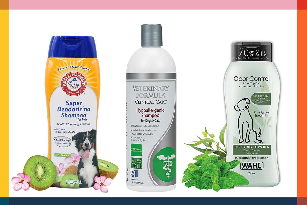 The 12 Best Dog Shampoos Of 2023