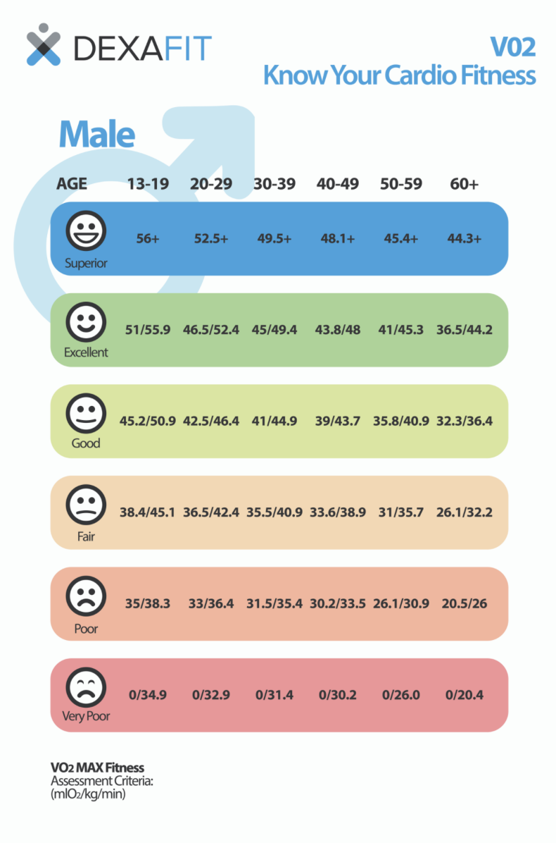 Vo2 Max (Definition, Chart, And Faq) | Dexafit